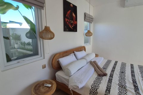 2 bedrooms Villa in Canggu, Badung, Indonesia No. 13752 9