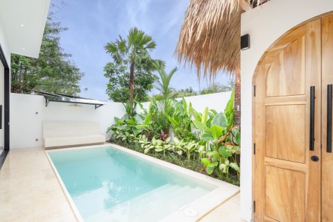 1 bedroom Villa in Pecatu, Badung, Indonesia No. 7177 3