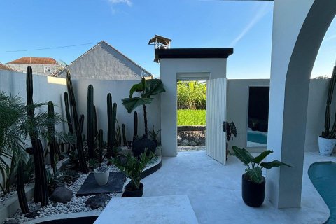 Вилла с 2 спальнями в Canggu, Бадунг, Индонезия № 9066 19