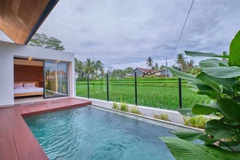 2 bedrooms Villa in Ubud, Gianyar, Indonesia No. 9071 2