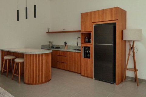 Вилла с 2 спальнями в Денпасар, Индонезия № 9177 5
