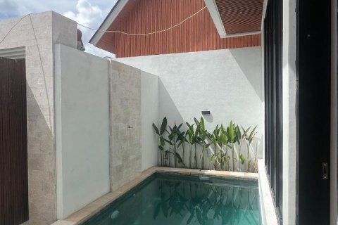 Вилла с 2 спальнями в Canggu, Бадунг, Индонезия № 8993 13