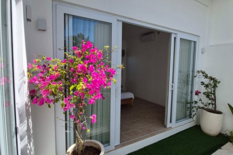 2 bedrooms Villa in Canggu, Badung, Indonesia No. 13752 10