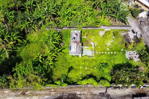 Land in Pererenan, Mengwi, Badung, Indonesia No. 10599 3