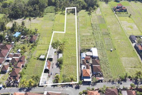 Land in Abiansemal, Badung, Indonesia No. 2154
