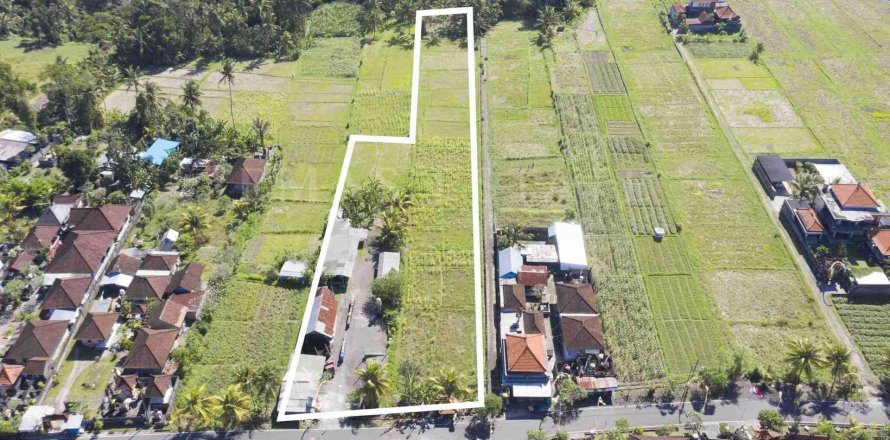 Land in Abiansemal, Badung, Indonesia No. 2154