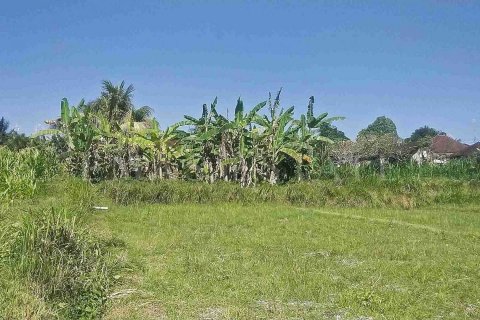 Land in Abiansemal, Badung, Indonesia No. 2154 2
