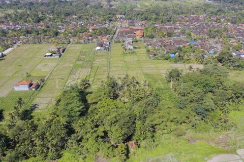 Land in Abiansemal, Badung, Indonesia No. 2154 3