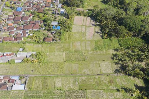 Land in Abiansemal, Badung, Indonesia No. 2154 5