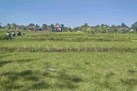Land in Abiansemal, Badung, Indonesia No. 2154 4