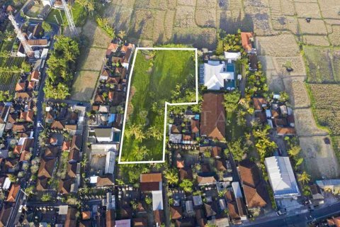 Land in Ubud, Gianyar, Indonesia No. 2156