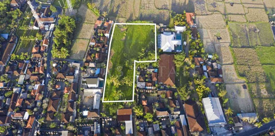Land in Ubud, Gianyar, Indonesia No. 2156