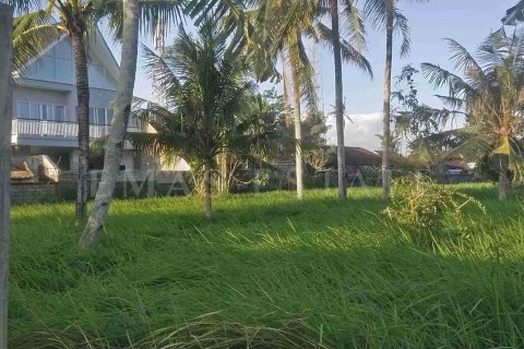 Land in Ubud, Gianyar, Indonesia No. 2156 2