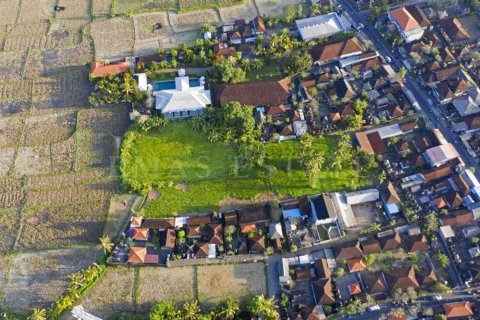 Land in Ubud, Gianyar, Indonesia No. 2156 3