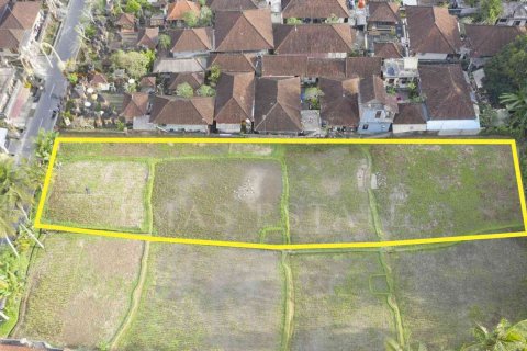 Land in Payangan, Gianyar, Indonesia No. 2155