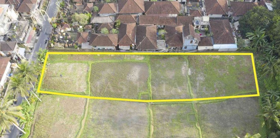 Land in Payangan, Gianyar, Indonesia No. 2155