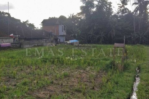 Land in Payangan, Gianyar, Indonesia No. 2155 2