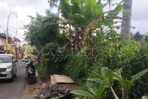 Land in Payangan, Gianyar, Indonesia No. 2155 3