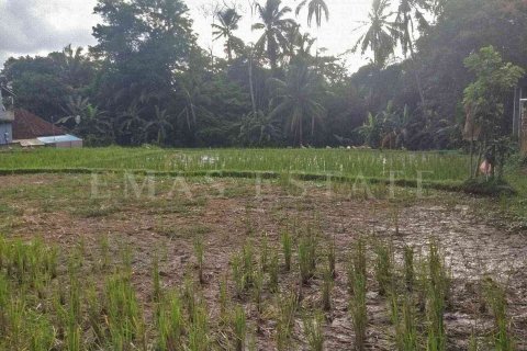 Land in Payangan, Gianyar, Indonesia No. 2155 4