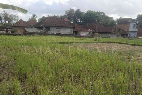 Land in Payangan, Gianyar, Indonesia No. 2155 5