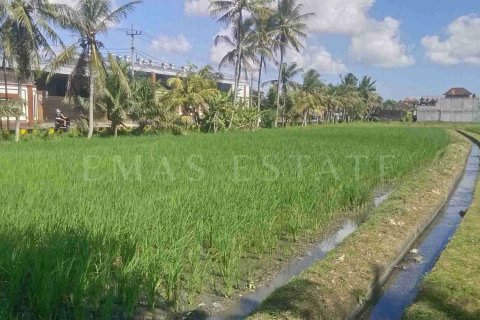 Land in Kediri, Tabanan, Indonesia No. 2157 2