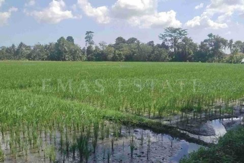Land in Kediri, Tabanan, Indonesia No. 2157 4