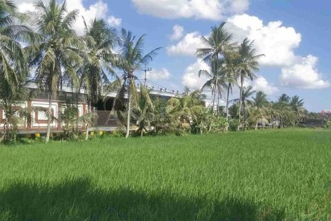 Land in Kediri, Tabanan, Indonesia No. 2157 3