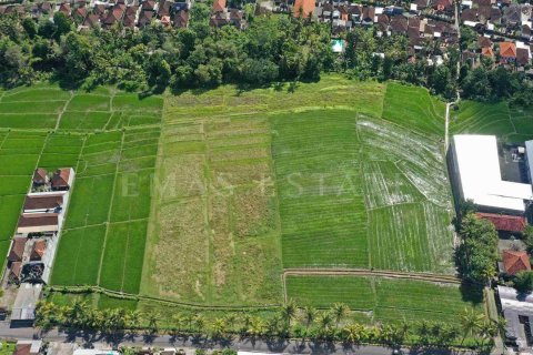 Land in Kediri, Tabanan, Indonesia No. 2157 5