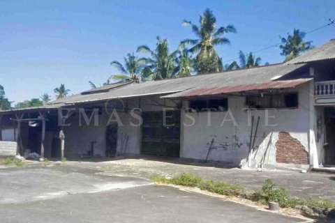 Land in Abiansemal, Badung, Indonesia No. 2138 2