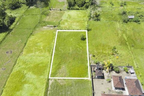 Land in Ubud, Gianyar, Indonesia No. 2137 1