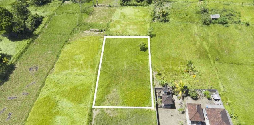 Land in Ubud, Gianyar, Indonesia No. 2137