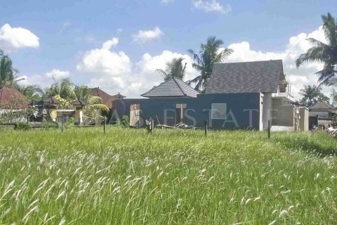 Land in Ubud, Gianyar, Indonesia No. 2137 3