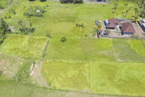 Land in Ubud, Gianyar, Indonesia No. 2137 4
