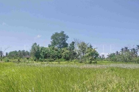 Land in Ubud, Gianyar, Indonesia No. 2137 2