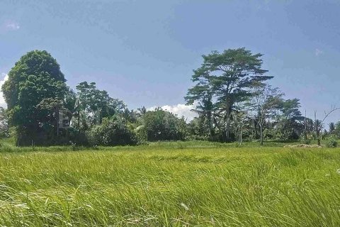 Land in Ubud, Gianyar, Indonesia No. 2137 5