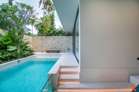 2 bedrooms Villa in Denpasar, Indonesia No. 10823 3