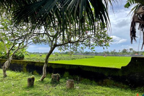 Land in Tabanan, Indonesia No. 11617 8