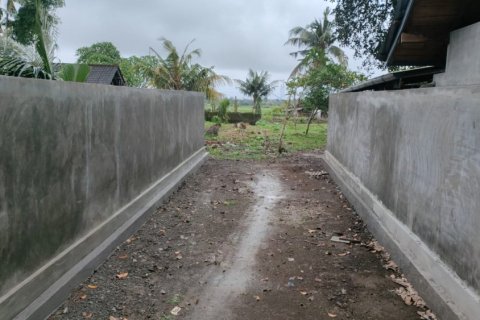 Land in Tabanan, Indonesia No. 11617 13