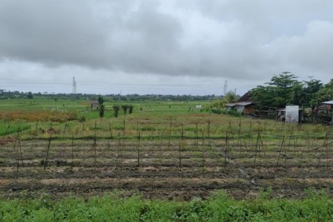 Land in Tabanan, Indonesia No. 11617 2
