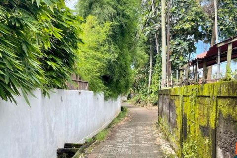 Land in Tabanan, Indonesia No. 11617 10