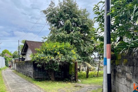 Land in Tabanan, Indonesia No. 11617 7