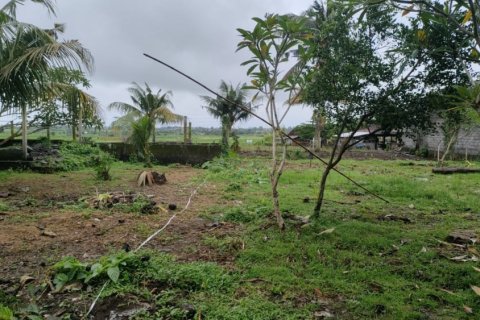 Land in Tabanan, Indonesia No. 11617 11