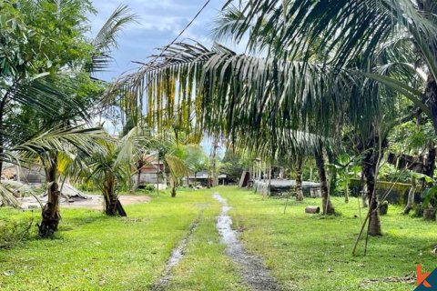Land in Tabanan, Indonesia No. 11617 4