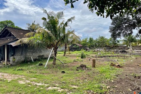 Land in Tabanan, Indonesia No. 11617 5