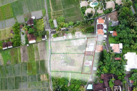 Land in Tabanan, Indonesia No. 11617