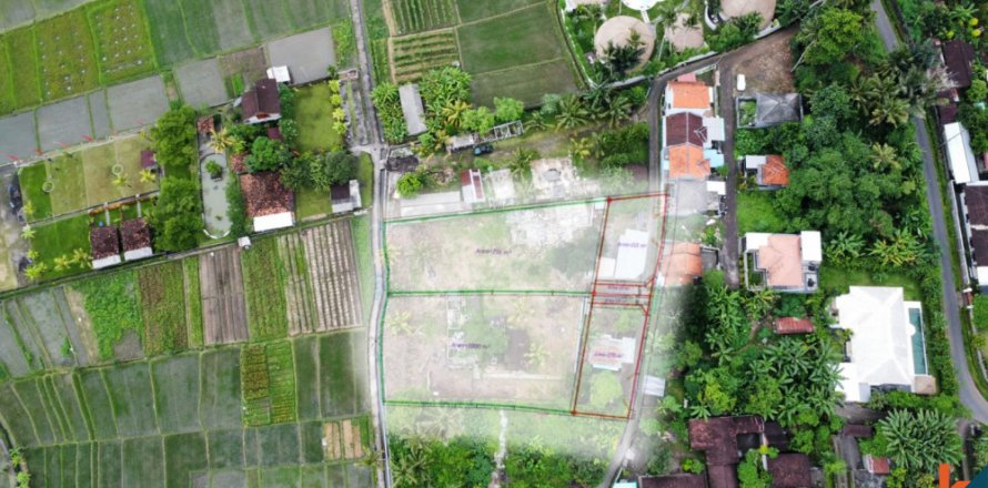 Land in Tabanan, Indonesia No. 11617