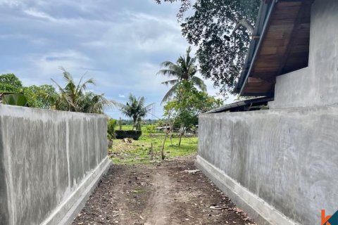 Land in Tabanan, Indonesia No. 11617 3