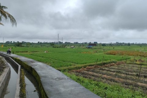 Land in Tabanan, Indonesia No. 11617 12