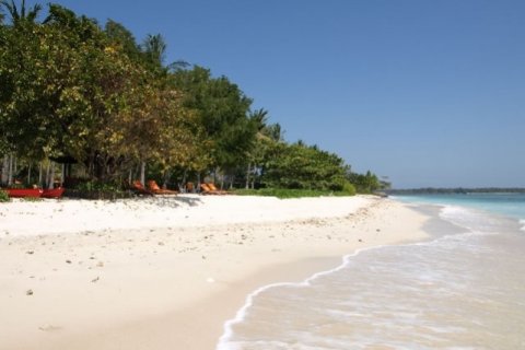 4 bedrooms Villa in Tanjung, North Lombok, Indonesia No. 736 25