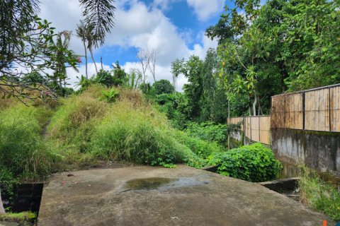 Land in Tumbak Bayuh, Mengwi, Badung, Indonesia No. 11205 4